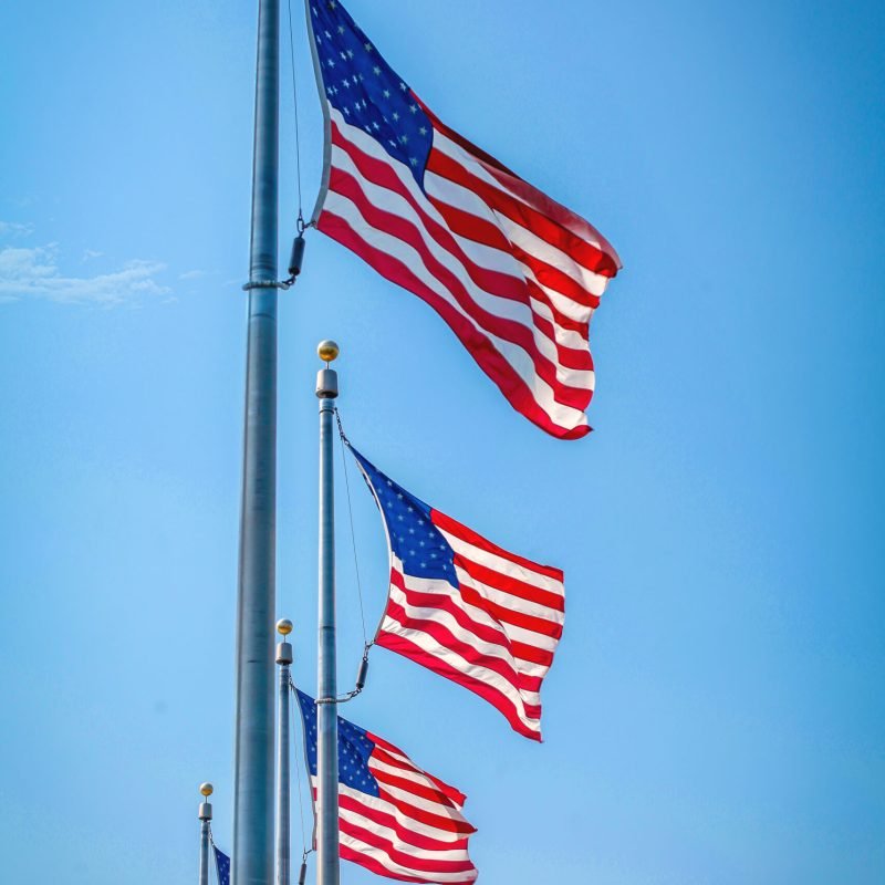 A Silhouette shot of a bird resting on a dying tree branch.
